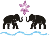 Elephant Pyjamas! apparel